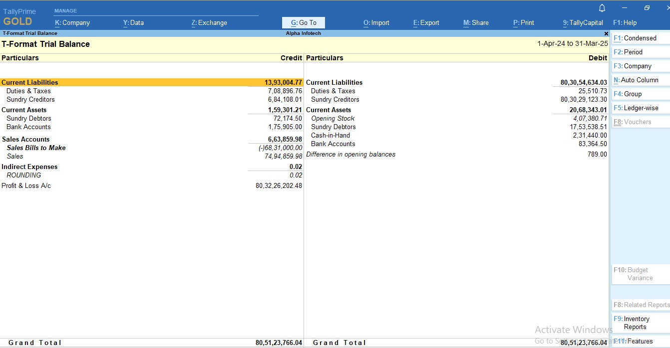 Trial Balance Report in T-Format